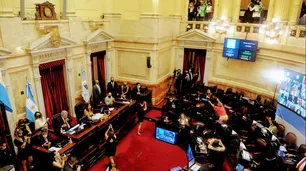 Aborto legal: quiénes son los senadores que cambiaron de postura y apoyaron la ley