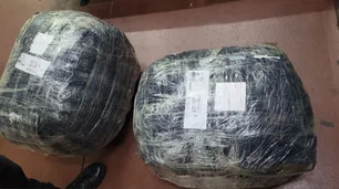 La PFA secuestró más de 15 kilos de cocaína en una encomienda que llegó a la terminal de Retiro