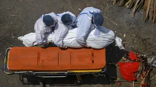 Cómo es el "Hongo negro", la infección que ataca a pacientes de Covid-19 en India