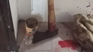 Estrangulamiento y 50 hachazos: qué reveló la autopsia de la mujer decapitada por su hijo