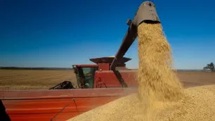Retenciones al agro: aseguran que la baja para trigo y cebada puede cambiar la intención de siembra
