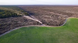 Encuesta: el 80% de los argentinos cree que el gobierno debería hacer más contra la deforestación