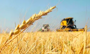 Estamos ante un milagro extraordinario del campo argentino