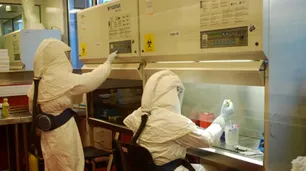 Científicos buscan desarrollar antisuero contra el hantavirus