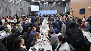 Suspensión de las PASO: "La sociedad ni siquiera reaccionaría si las eliminan”