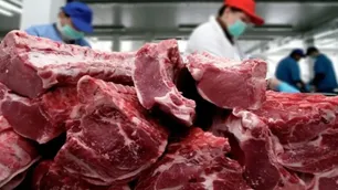 La Unión Europea endurece los requisitos vinculados a la deforestación en el sector cárnico
