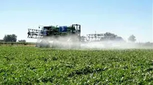 Ordenaron el cese de fumigaciones con agroquímicos en Barrio Universitario de Horizonte III