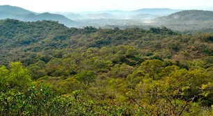 "Van a destruir un tesoro ambiental": critican proyecto de ruta pavimentada que atraviesa reserva natural en Córdoba