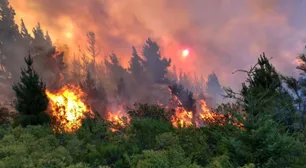 Termina un enero candente, agitado por inundaciones, incendios y hantavirus