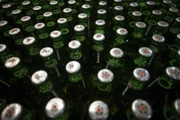Heineken acopia cerveza para que pubs no sufran tras el brexit