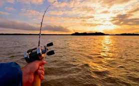 Veda en el Paraná: qué tramo quedó cerrado a la pesca y qué sanciones prevén para los infractores