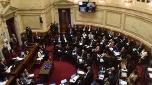 El Senado aprobó la creación de un fondo especial y la declaración emergencia para Bahía Blanca