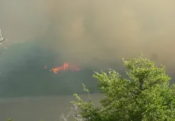 Fotos | Devastadores incendios en Neuquén