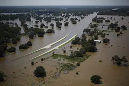 Firmas destacan en medio de falta de acción por cambio climático