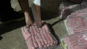 Aduana: el Senasa impidió el ingreso a Corrientes de 111 kilos de salchichas provenientes de Brasil