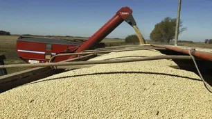 Agroexportaciones: “A futuro Estados Unidos no va a ser un competidor fuerte en el mercado de commodities”