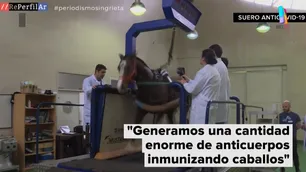 Avanza el primer potencial medicamento argentino contra el Coronavirus