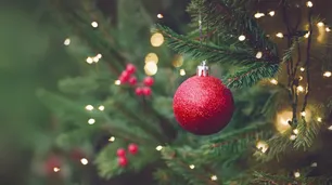 ¿Cuándo y por qué se arma el árbol de Navidad?