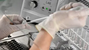 Científicos australianos afirman que un conocido antiparasitario "elimina al coronavirus en 48 horas"