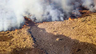 Volvió el olor a humo por los incendios en el Paraná