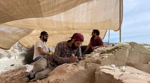 Investigadores del Conicet hallaron un huevo de dinosaurio carnívoro en un estado de preservación casi perfecto