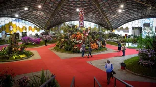 Empieza la Fiesta Nacional de la Flor en Escobar: once días de floricultura, música y mucha naturaleza