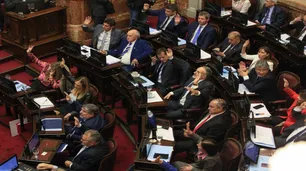 Quiénes son los 6 senadores que no emitieron ni una palabra en todas las sesiones del 2024