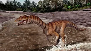 Lo apodan “La Bruja Croc”: arqueólogos hallaron restos de un reptil que vivió hace 253 millones de años