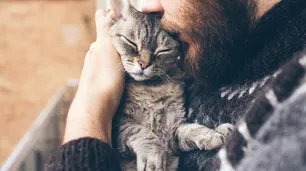 Coronavirus: un estudio afirma que los gatos son "altamente susceptibles" y pueden contagiarse entre ellos