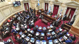 El Senado aprobó el blanqueo pero tiene pocas chances de ser ley