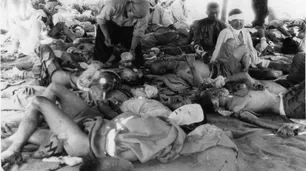 Cáncer y memoria tras Hiroshima y Nagasaki