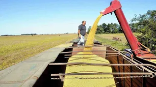 Grieta en el paro del campo: algunos productores se manifestaron en contra de la Mesa de Enlace