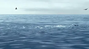 Un arriesgado rescate en el mar que nos mantuvo en vilo