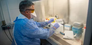 Investigación no halla ventajas ni daños en uso de hidroxicloquina contra COVID-19