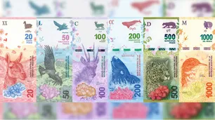 ¿Es conveniente para la Argentina la moneda común con Brasil?