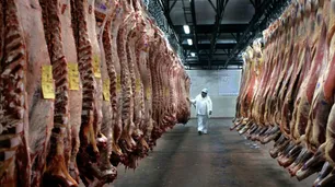 Mercosur–UE: desde el 1° de mayo la cuota Hilton pasa a arancel cero y se abre una nueva cuota de 99.000 toneladas