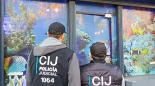 Cayó una red de venta ilegal de fauna marina en CABA: las especies estaban valuadas en $400 millones