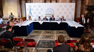 Suspenden la reunión de la Comisión Bicameral que iba a tratar el DNU de Extinción de Dominio