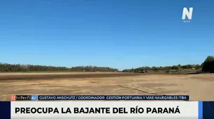 Bajante del rio Paraná: crece la preocupación por el impacto económico y del medio ambiente