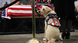 El funeral de George Bush y el conmovedor adiós de su perro