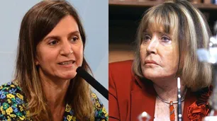 Embarazadas rusas: Anses aclaró que la organizadora de los viajes cobra una "asignación familiar"