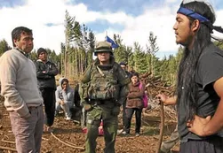 Denuncian vínculos de grupos mapuches con las FARC