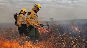 Incendios forestales en Rio Negro: quedan focos activos en la zona del lago Steffen