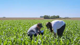 La confianza del agro toca máximos y crece la intención de invertir