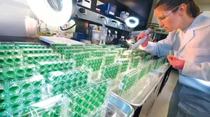 Seguridad alimentaria: entre la química, los biológicos y la edición génica