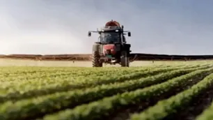 El objetivo detrás de Expoagro: “Es entender que no hacen falta ni regímenes especiales, ni subsidios”
