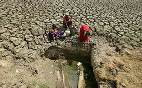 India: la agricultura enfrenta una crisis hídrica, ¿Cuáles son las principales causas?