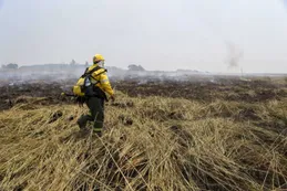 Incendios | Cabandié culpó al campo y los productores no se callan: "Se quiere sacar la responsabilidad"