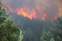 El Bolsón desespera al ver el fuego en sus ventanas: "Estamos en un caos total"