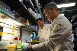 Científicos argentinos desarrollaron un dispositivo barato y preciso para detectar arsénico en el agua que consumen millones de personas